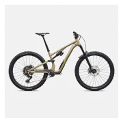Specialized Stumpjumper 15 EVO Elite Alloy