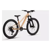 Specialized Riprock Comp