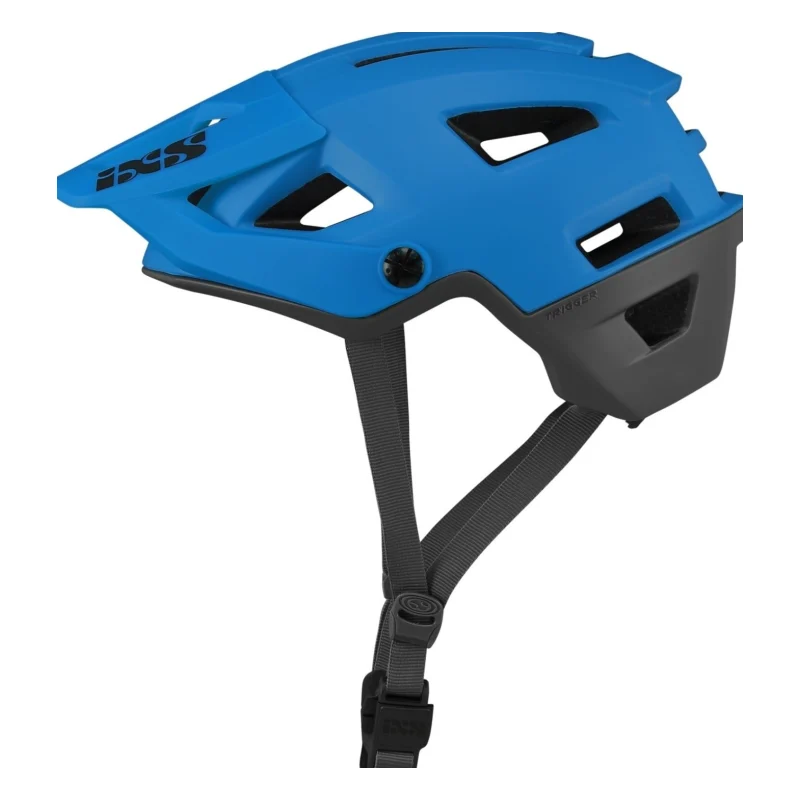 IXS Trigger AM