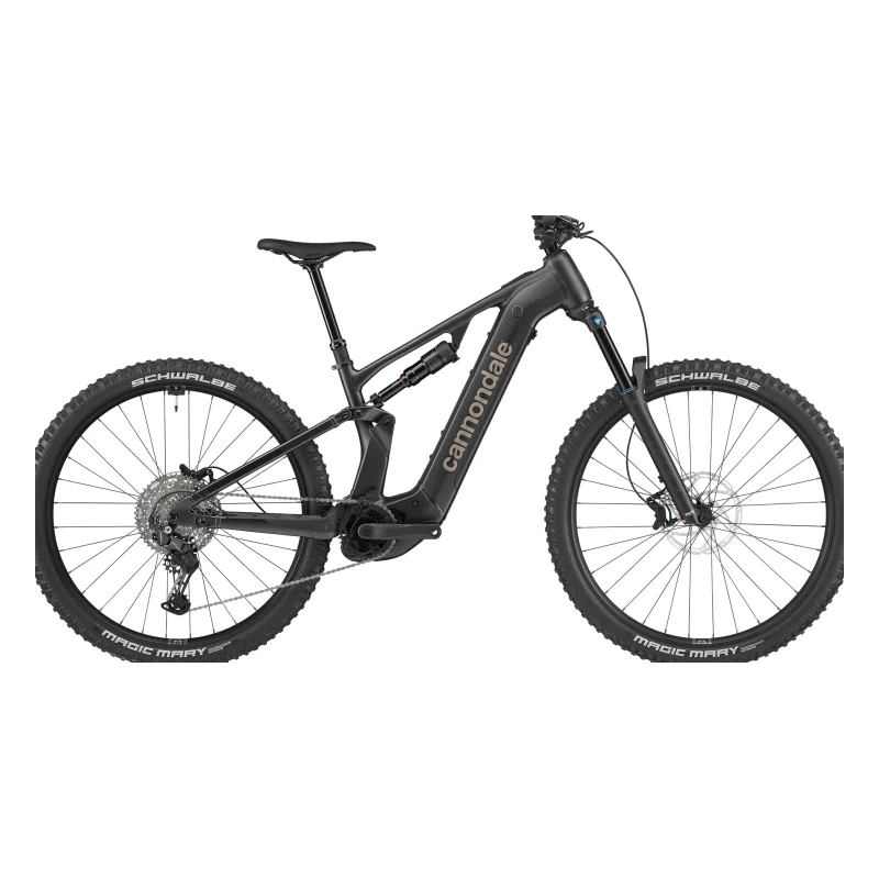 Cannondale Moterra 4