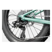 Cannondale Kids Trail Plus 20