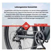 Telefunken Aufsteiger M936