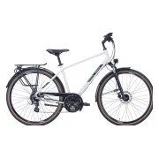 Pegasus Solero SL Disc
