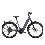 Trek Verve+ 4S Lowstep