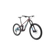 Marin Alpine Trail 1