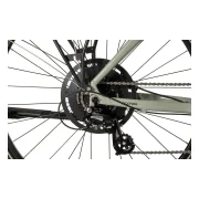 Prophete Entdecker 500 Lady