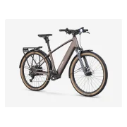 Trek FX+ 2S