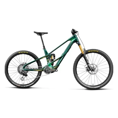 Orbea Wild LT M-LTD RS Mullet