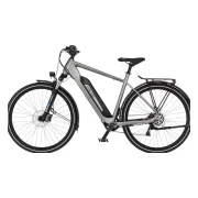 Fischer-Bike TERRA 2.2