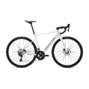 Giant Contend SL 1