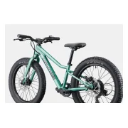 Cannondale Kids Trail Plus 20