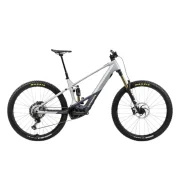 Orbea Wild M-Team
