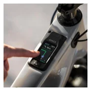 Amflow PX Carbon