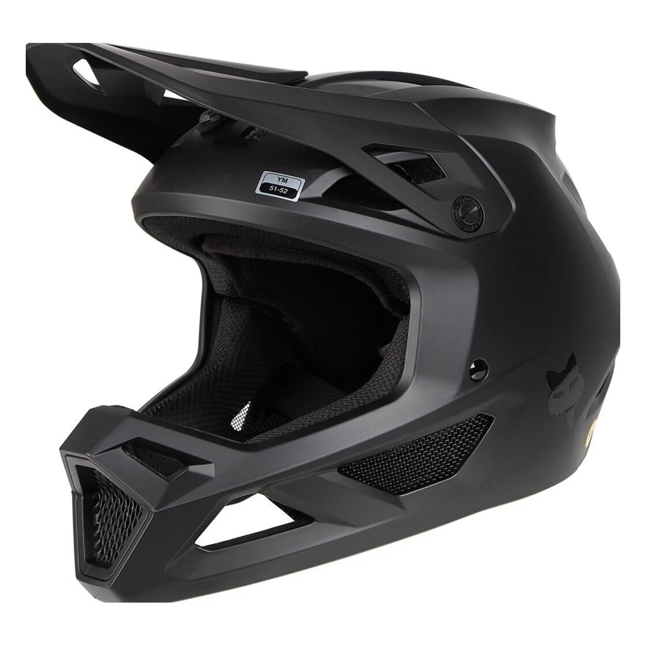 Fox Youth Rampage Helmet matte
