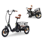 SachsenRAD E-Lastenrad T6S Comfort Air