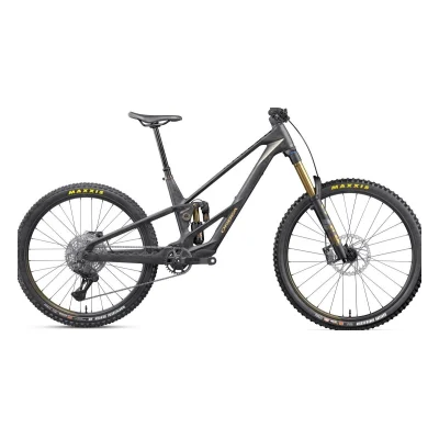 Orbea Rallon RS-LTD