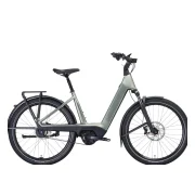 Trek Charter+ 5S Lowstep