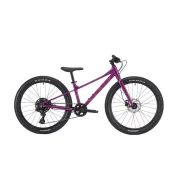 Marin Bear Valley 24