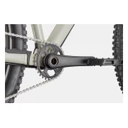 Cannondale Habit HT 1