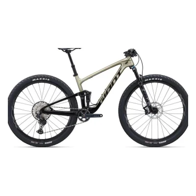Giant Anthem Advanced 2