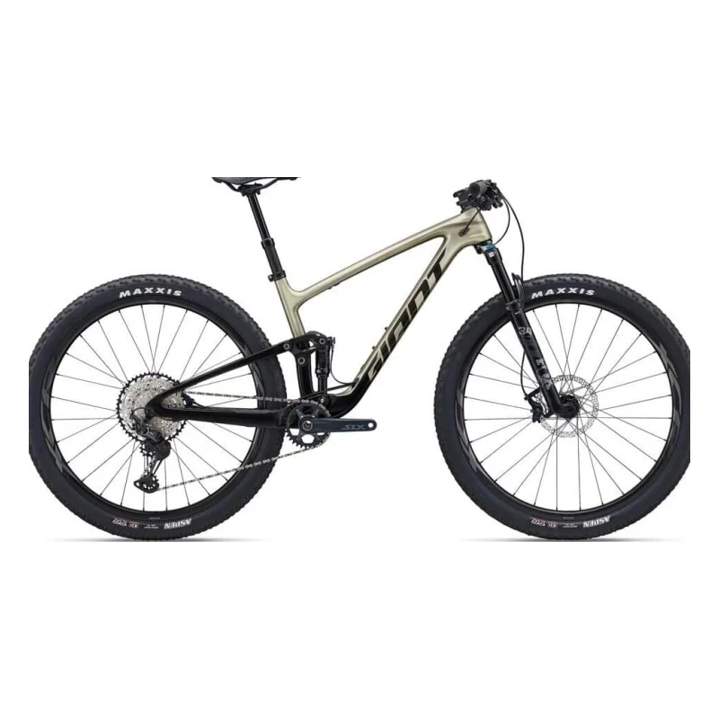 Giant Anthem Advanced 2
