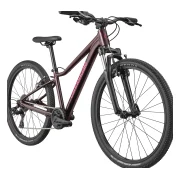 Cannondale Kids Trail 24