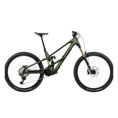 Orbea Wild LT H-TEAM Mullet