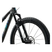 Giant Anthem Advanced SL 1