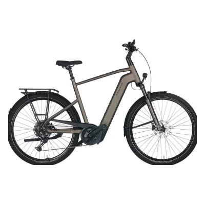 Pegasus Premio Evo 10 Lite