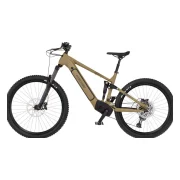 Fischer-Bike MONTIS 10.0i