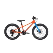 Marin Bear Valley 20