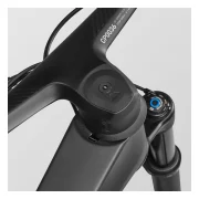 Canyon Lux World Cup CFR X0 AXS