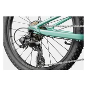 Cannondale Kids Trail 20
