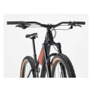Trek Roscoe 8 Gen 4