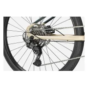 Cannondale Treadwell 1