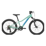 Cannondale Kids Trail 20