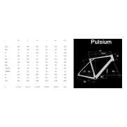 Lapierre Pulsium 5.0