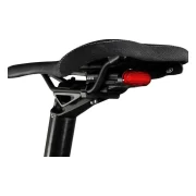 Lupine C14 Mag International