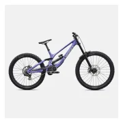 Specialized S-Works Demo 11