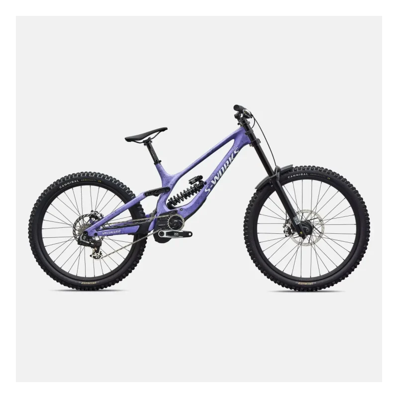 Specialized S-Works Demo 11
