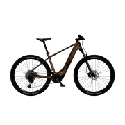 KTM Macina Team 893