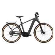 Flyer Gotour 7.12XC