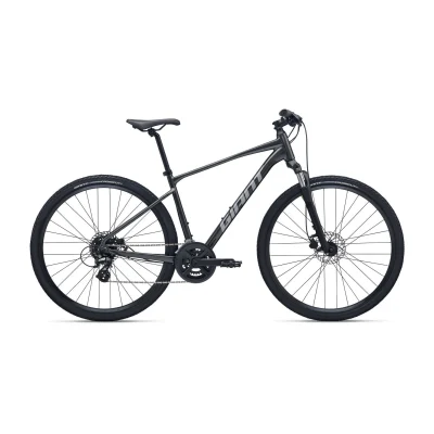 Giant Roam 4