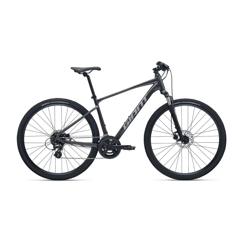 Giant Roam 4