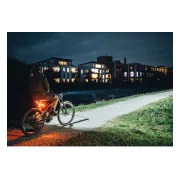 Lupine C14 SP E--Bike-Rücklicht