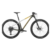 Mondraker Chrono DC RR