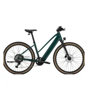 Trek FX+ 1S Midstep