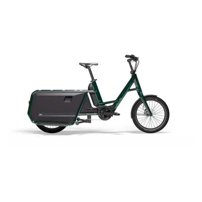 Qio Long P9
