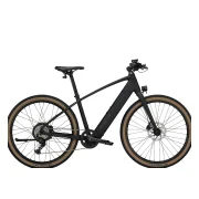 Trek FX+ 1S