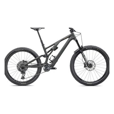 Specialized Stumpjumper EVO LTD
